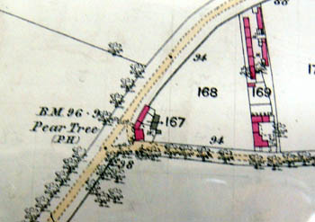 The Pear Tree in 1884